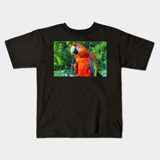 Red Macaw Bird Kids T-Shirt by likbatonboot